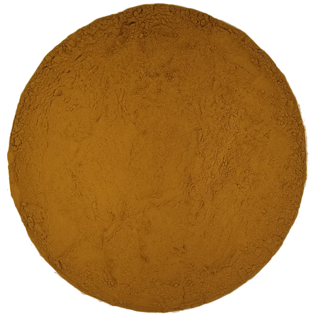 Lion's Mane Powder: 4oz