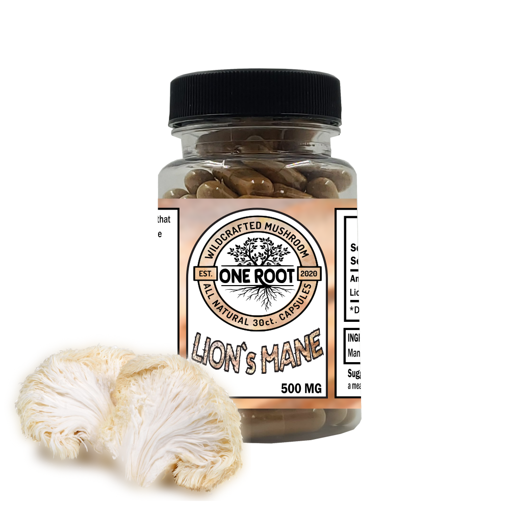 Lion's Mane Capsules: 30ct