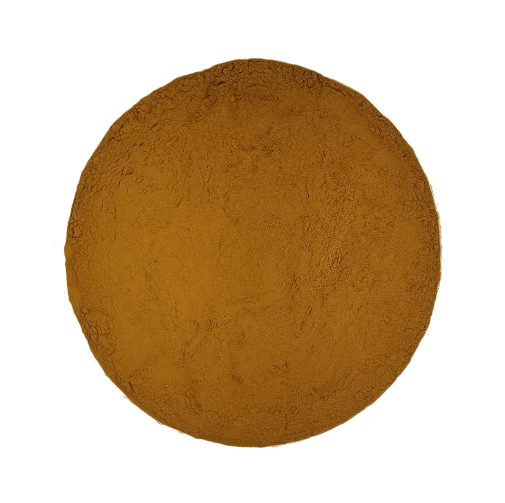 Lion's Mane Capsules: 60ct